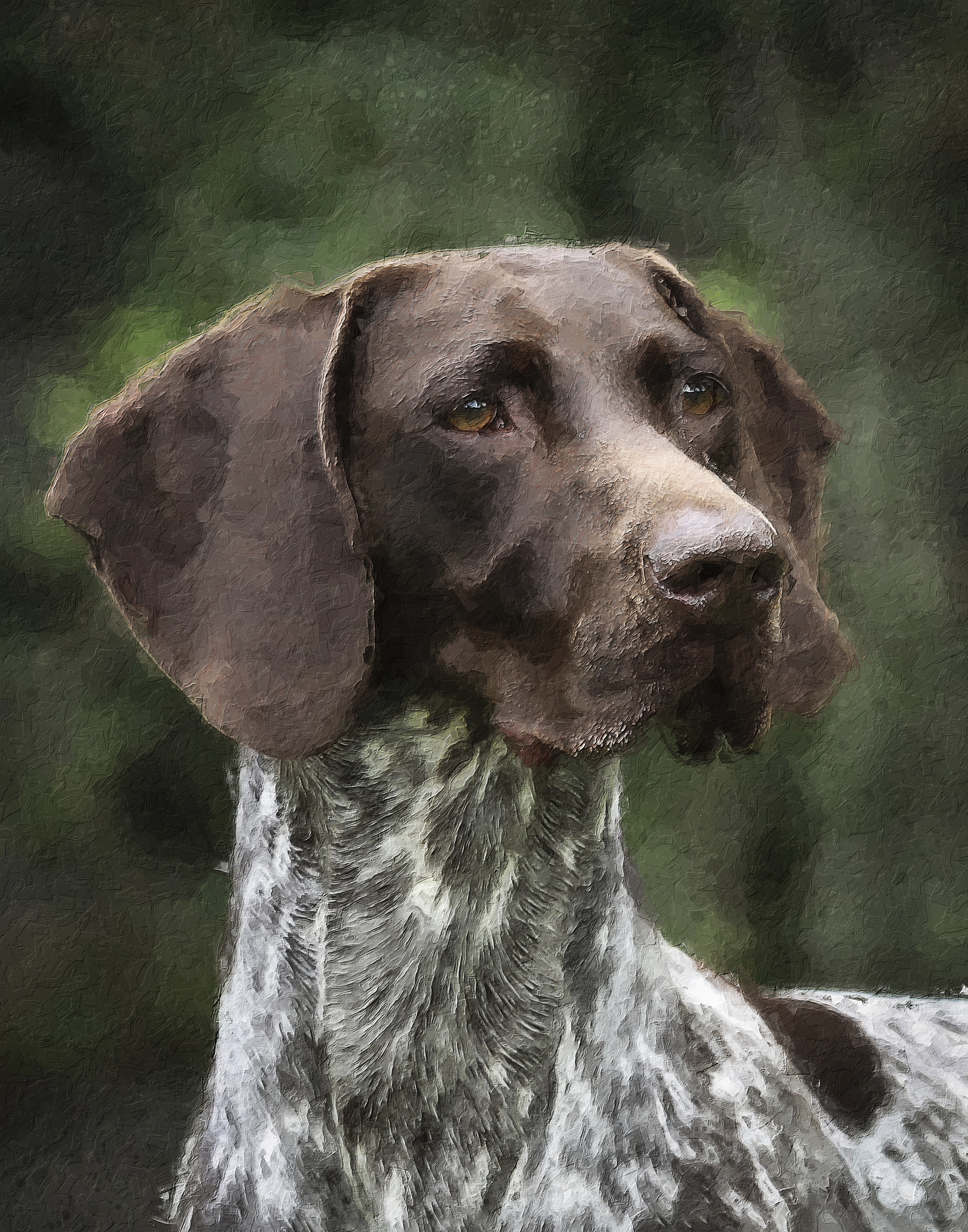 German Shorthair Champion - Jade