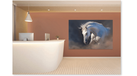 Commercial office lobby with horse art on wall. 